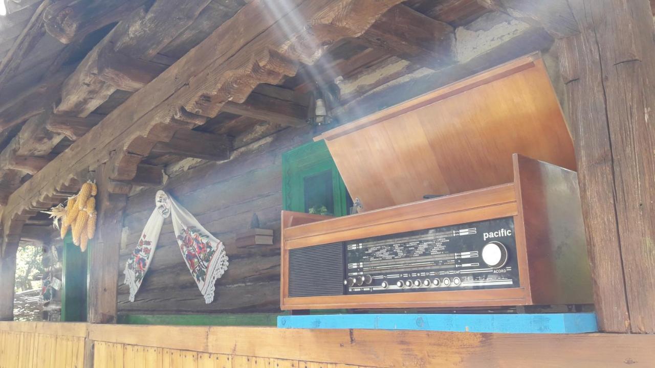 Casa Morosenilor - Brebヴィラ エクステリア 写真